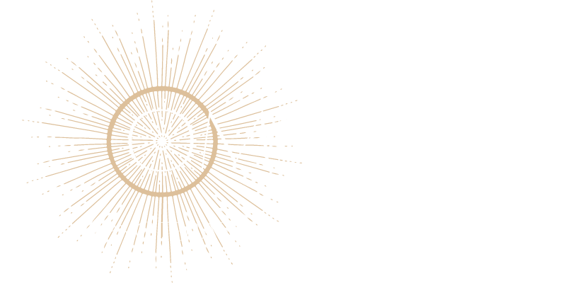 logo Omnika białe